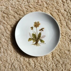 Vintage JKW Bavaria 1930 Western Germany Floral 7" Salad Plate